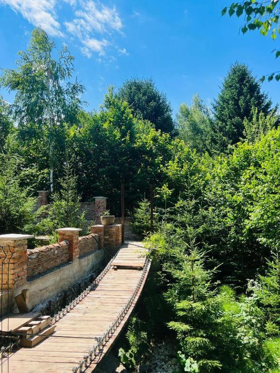 Casa Cu Mesteceni Rîşnov Extérieur photo