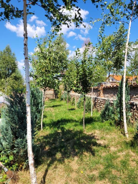 Casa Cu Mesteceni Rîşnov Extérieur photo