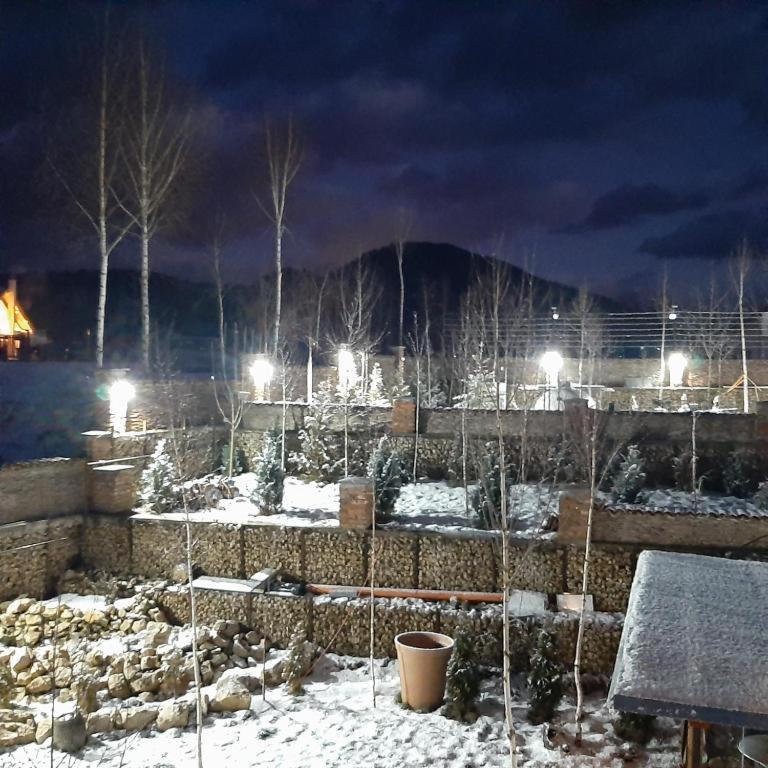Casa Cu Mesteceni Rîşnov Extérieur photo