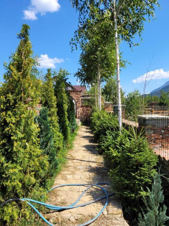 Casa Cu Mesteceni Rîşnov Extérieur photo