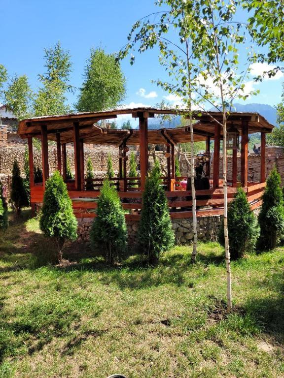 Casa Cu Mesteceni Rîşnov Extérieur photo