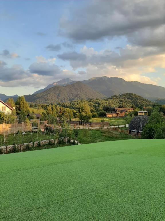Casa Cu Mesteceni Rîşnov Extérieur photo