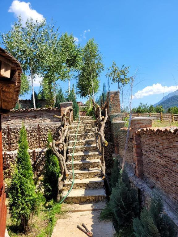 Casa Cu Mesteceni Rîşnov Extérieur photo